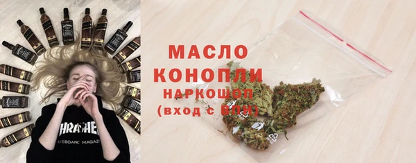 гидра Весьегонск
