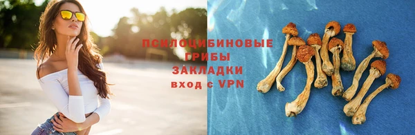 apvp Козловка