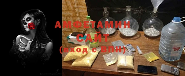 крисы Козельск