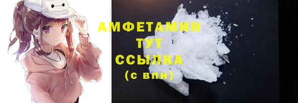 крисы Козельск