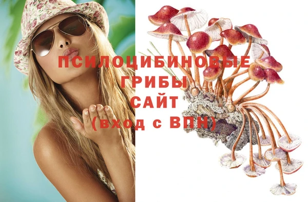 гидра Весьегонск